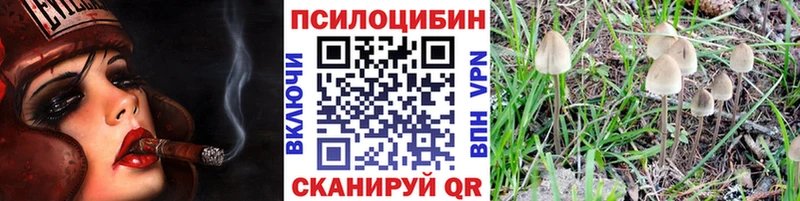 Купить закладки  Фурманов  Галлюциногенные грибы Psilocybe 